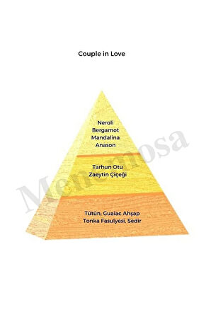 Couple In Love Erkek Parfüm Edp 50 Ml
