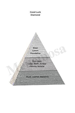 Good Luck Erkek Parfüm Edp 50 ml - Mnms50ge