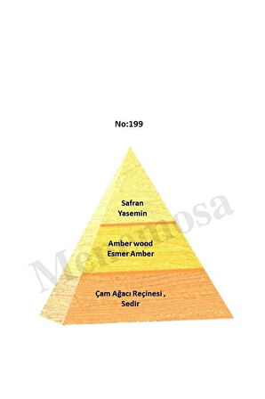 No:199 Unisex Parfüm Edp 50 ml - Mnms502no199