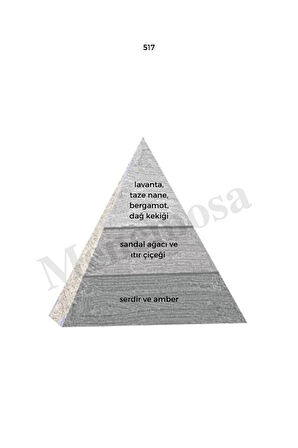 No:451 + 517 Unisex / Erkek Parfüm Edp 50 ml Fresh / Woody - Mnms50no451517