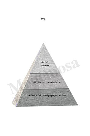 No 476 No: 476 Unisex Parfüm Edp 50 ml Woody - Mnms50no4762