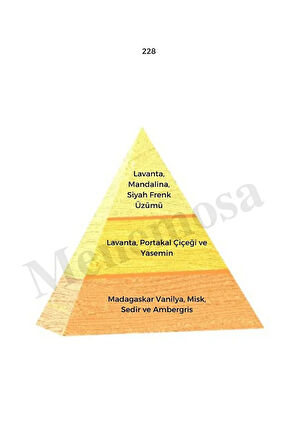 No: 528 + 228 Erkek / Kadın Parfüm Edp 50 ml Fresh / Oriental - Mnms50no528228