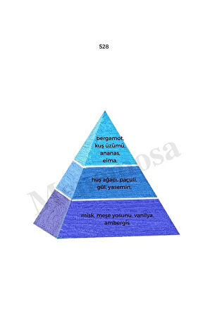 No: 528 + 384 Erkek / Kadın Parfüm Edp 50 ml Fresh / Floral - Mnms50no528384