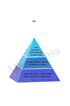 No: 528 + 685 Erkek Parfüm Edp 50 ml Fresh - Mnms50no528685