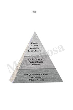 No:669 + No:669 Erkek Parfüm Edp 50 ml Woody - Mnms50no6692
