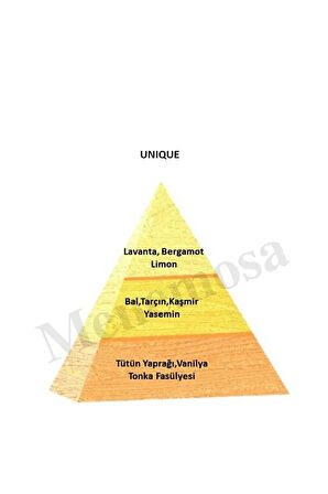 Unıque Unisex Parfüm Edp 50 ml Exclusive - Mnms50unı