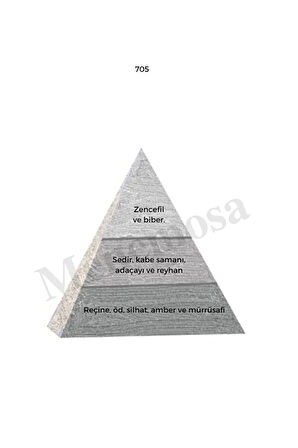 Erkek 705 Promosyon Babalar Günü 50 ml Parfüm edp Woody