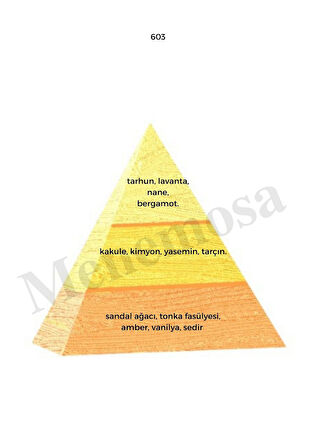 603 + 172 Erkek  / Kadın Parfüm Edp Oriental - Mnms603172