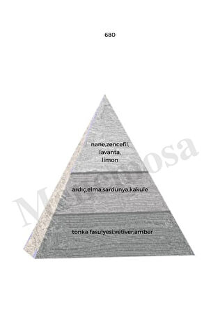 680 + 680 Erkek Parfüm Edp Woody - Mnms680680