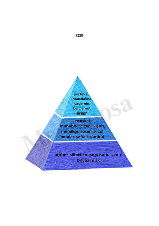 743 + 509 Erkek Parfüm Edp Woody / Fresh - Mnms743509