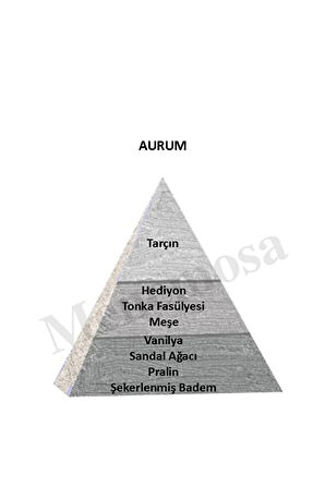 Niche Paradise Edition AURUM Unisex Extrait De perfume 75 ml Woody - Mnms75aurum