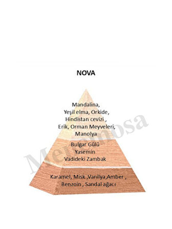 Nova Unisex Parfüm  Zenıth Edition 90 ml Floral - mnms90mlnova