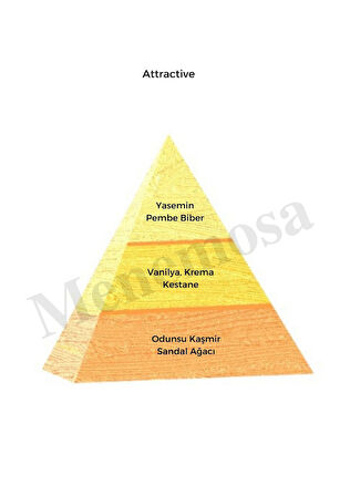 Attractive + Attractive  Kadın Parfüm Edp Oriental  - Mnmsatv2