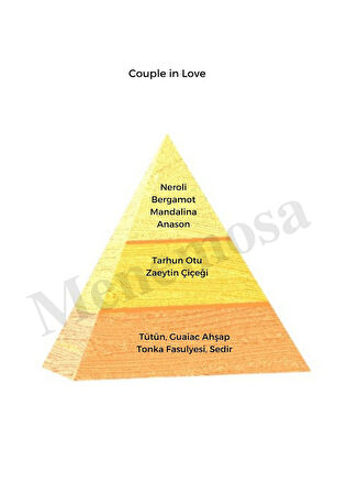 Couple In Love Erkek + Couple In Love Erkek Parfüm Edp Oriental  - Mnmscple2