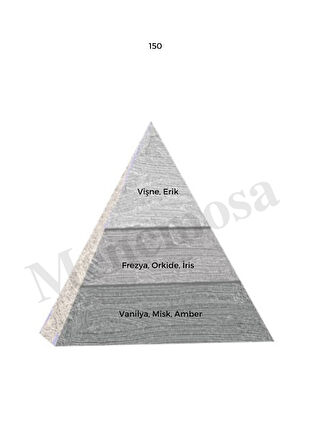 150 + 536 Kadın / Erkek Parfüm Edp 50 ml Woody / Fresh - Mnms150536