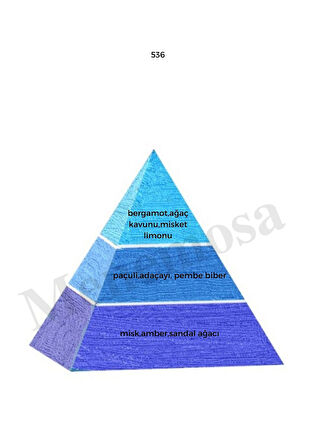 536 + 536  Erkek Parfüm Edp 50 ml Fresh - Mnms5362