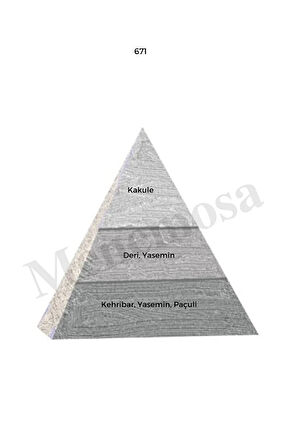 671 Unisex Parfüm Edp 50 ml Woody - Mnms50671