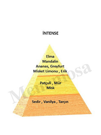 Intense + Intense Unisex Parfüm Oriental Edp  - Mnmsint2