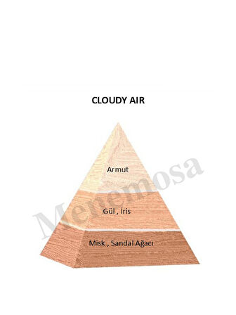 Cloudy Air 50 ml Dekoratif Ortam Kokusu - mnms50cldy