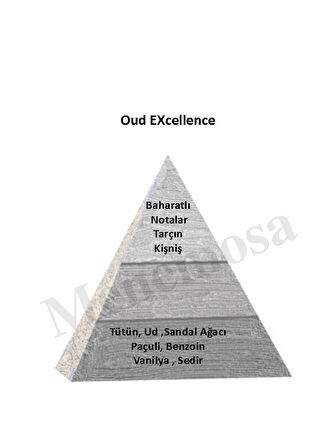 Oud Exc + Oud Exc  Unısex Parfüm Edp Woody - Mnmsoudx2