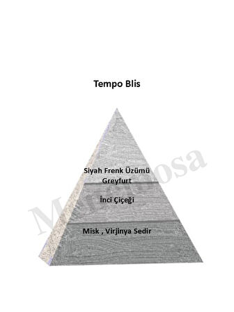 Tempo Blıss + Tempo Blıss Kadın Parfüm Edp  Woody - Mnmstem2