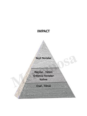 Impact + Impact Unisex Parfüm Edp Woody - Mnmsımp2