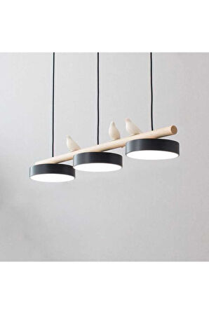 Modern yemek masaüstü ledli avize