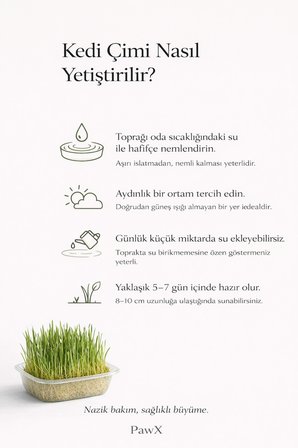 Doğal Kedi Çimi Seti Fileli + Avokado Catnip Oyuncak ve Yapışkanlı Yusufçuk Kedi Oltası Oyuncağı