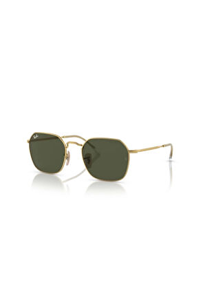 Rayban Unisex Güneş Gözlüğü RB3694 001/31 53