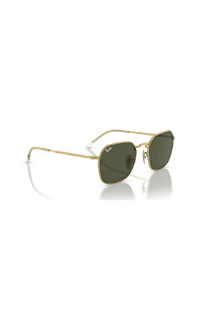 Rayban Unisex Güneş Gözlüğü RB3694 001/31 53