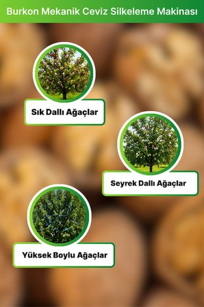 Burkon Mekanik Ceviz Silkeleme Makinesi