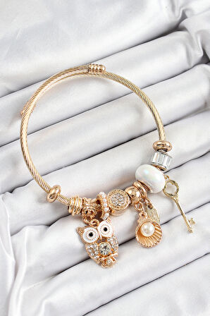 316L Çelik Beyaz Zirkon Taşlı Baykuş İstiridye Ve Anahtar Model Gold Renk Charm Bileklik