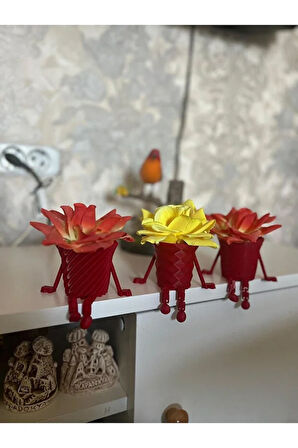 Dekoratif Oturan Sukulent Saksı - Kırmızı Renk & Küçük Bitkiler İçin