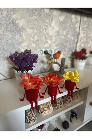 Dekoratif Oturan Sukulent Saksı - Kırmızı Renk & Küçük Bitkiler İçin