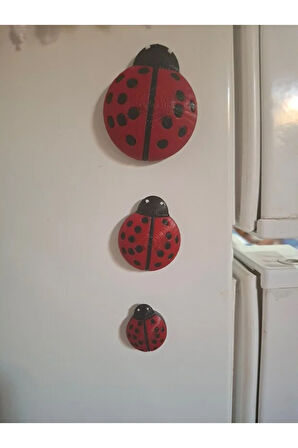 Uğur Böceği Figürlü Magnet 3'lü Set