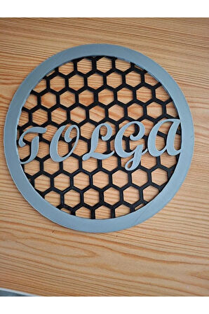 20 Cm Midrange Hoparlör Kapağı - Kişiye Özel Tasarım (2'li Set)