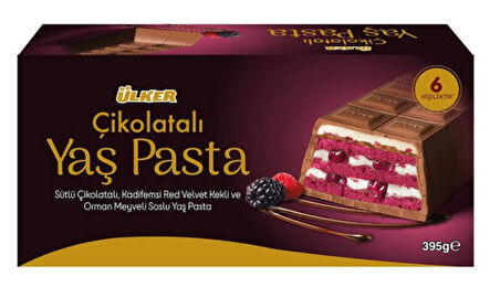 Yaş Pasta - Orman Meyveli Sütlü Çikolatalı - 395 gram - 6 Adet