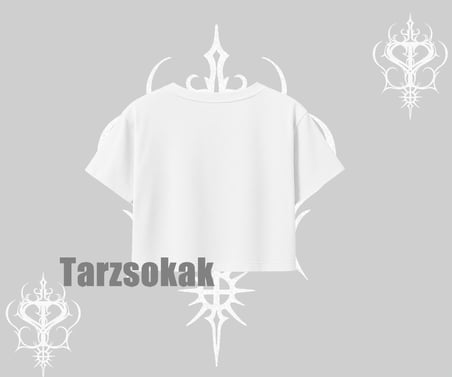 Oversize Crop Tshirt Skull Impact Bone Chilling Street Icon