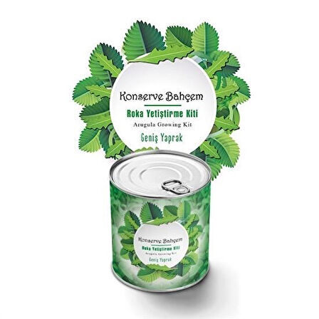 caselka® Konserve Bahçem Evde Konservede İri Yapraklı Roka Yetiştirme Kiti