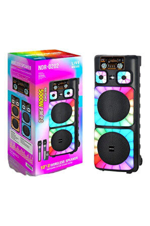 Always NDR-0202 2*12 İnc Taşınabilir Büyük Boy Bluetooth Parti Hoparlörü Amfi Özellikli
