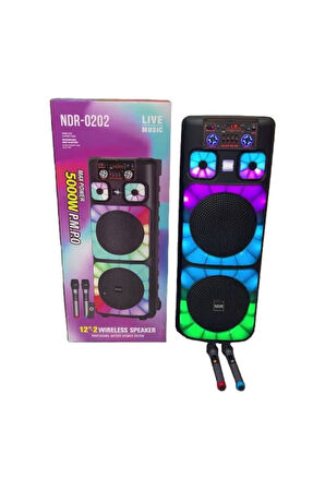 Always NDR-0202 2*12 İnc Taşınabilir Büyük Boy Bluetooth Parti Hoparlörü Amfi Özellikli