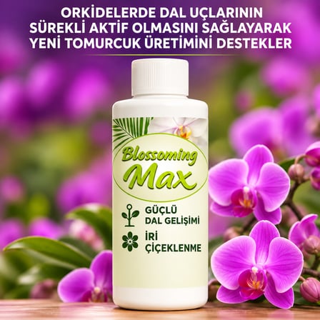 2 Adet Dal ve Çiçek Destekleyici Premium Besin 100 ml - Güçlü Dal Gelişimi ve Iri Çiçeklenme