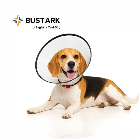 Bustark Kedi Köpek Elizabeth Kauçuk Dikişli Yakalık 20cm