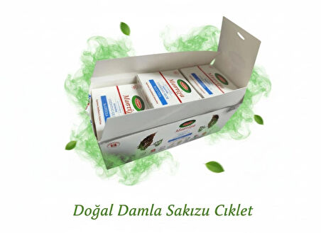 Mastiha Damla Sakızlı Çiklet 15'li