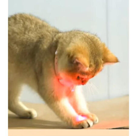 Süslüpati Otomatik Lazer Oyun Tasması