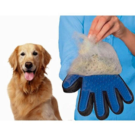 Süslüpati Evcil Hayvan Tüy Toplama Eldiveni