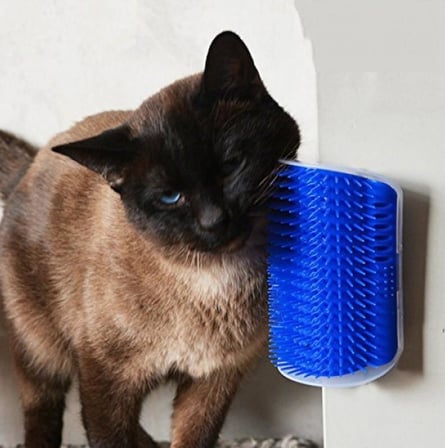 Shed Pal Kedi Kaşınma Aparatı