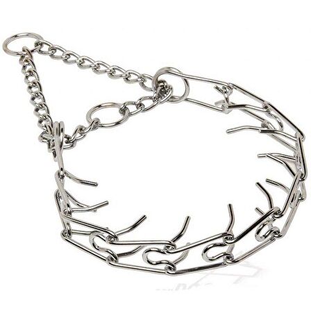 Nunbell Pls. Köpek Dikenli Eğitim Tasması 4 mm-60 cm