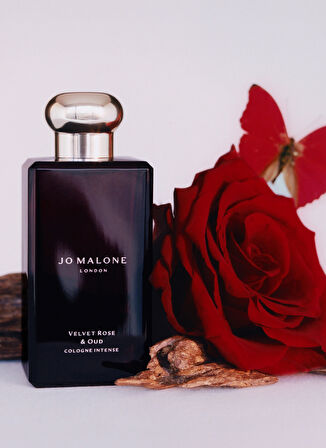 Velvet Rose & Oud Cologne Intense 100ml