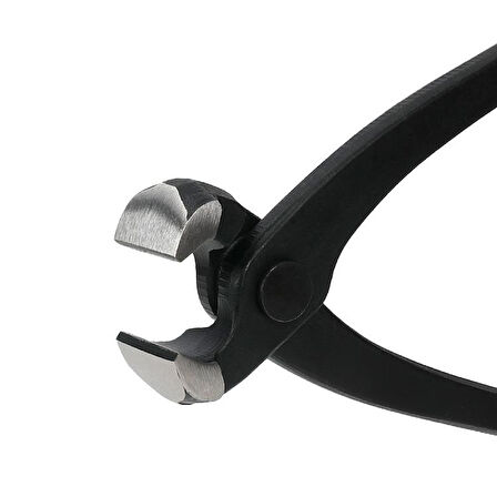 WORKPRO WP231123 250mm CR-V Profesyonel Betoncu Kerpeteni